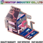 Custom house pins